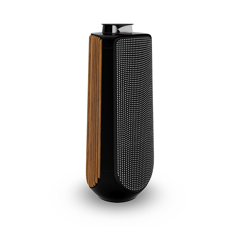 Bang & Olufsen Beolab 50 High-end Active Loudspeaker