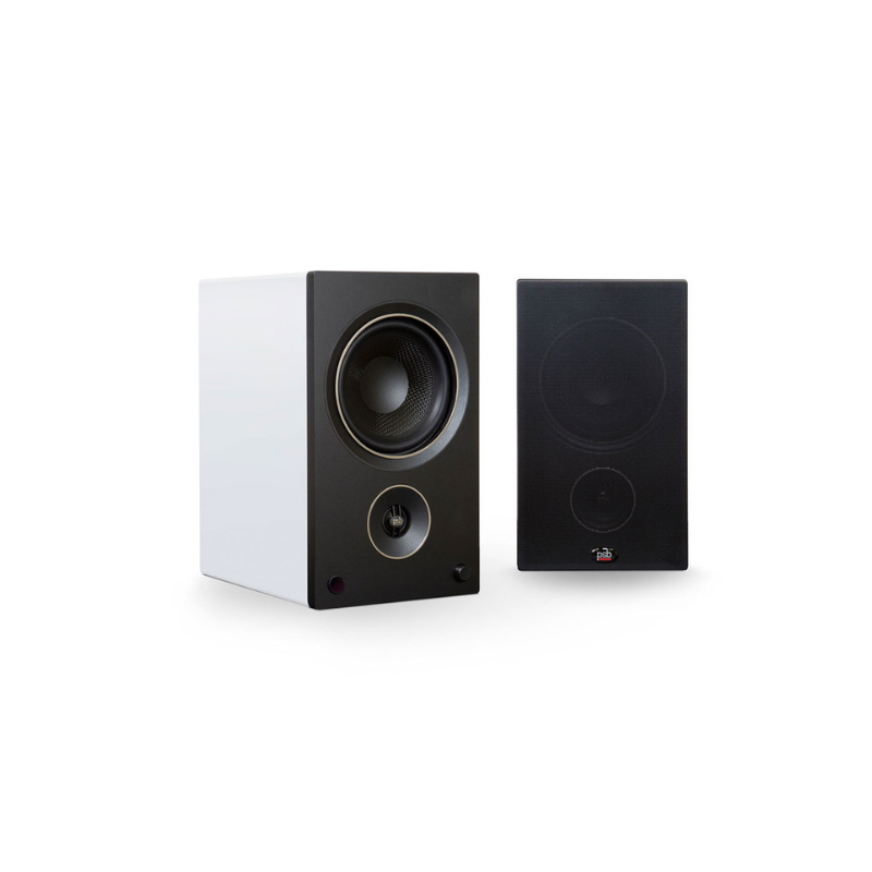 Psb bookshelf deals speakers