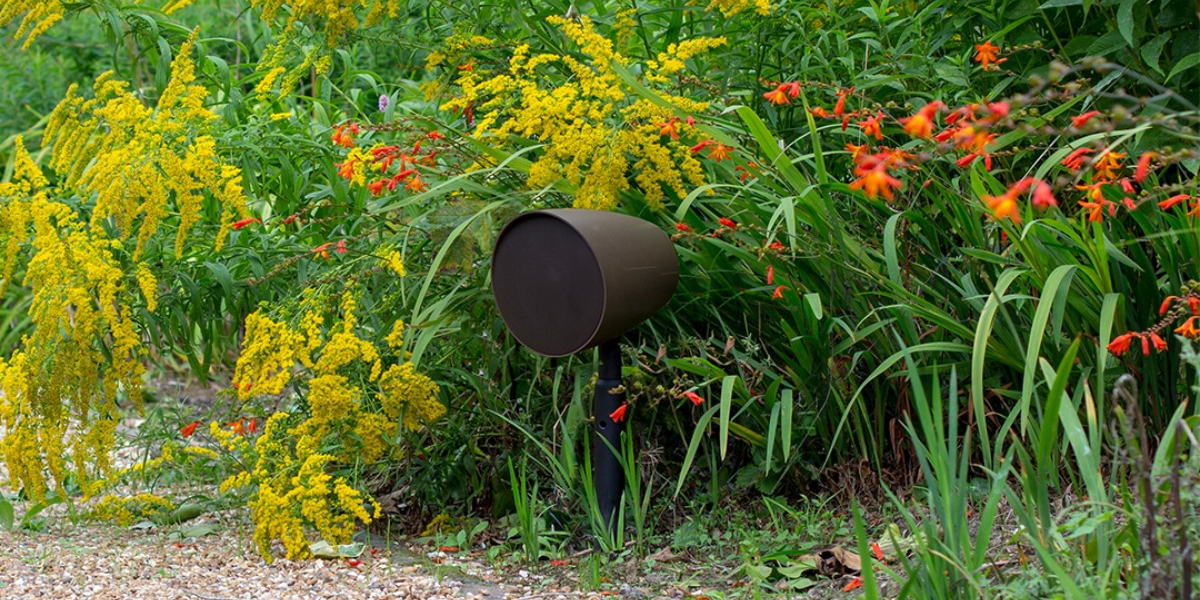 Backyard Beats: Soundtrack Your Outdoor Escape