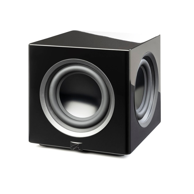 Martin Logan Abyss 10 Subwoofer (Each)