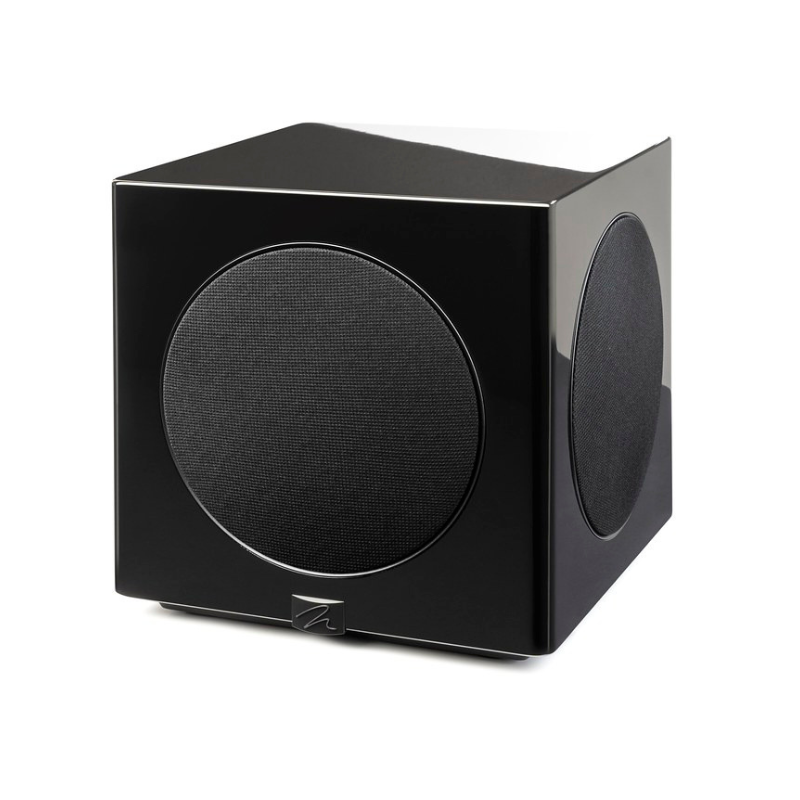Martin Logan Abyss 10 Subwoofer (Each)
