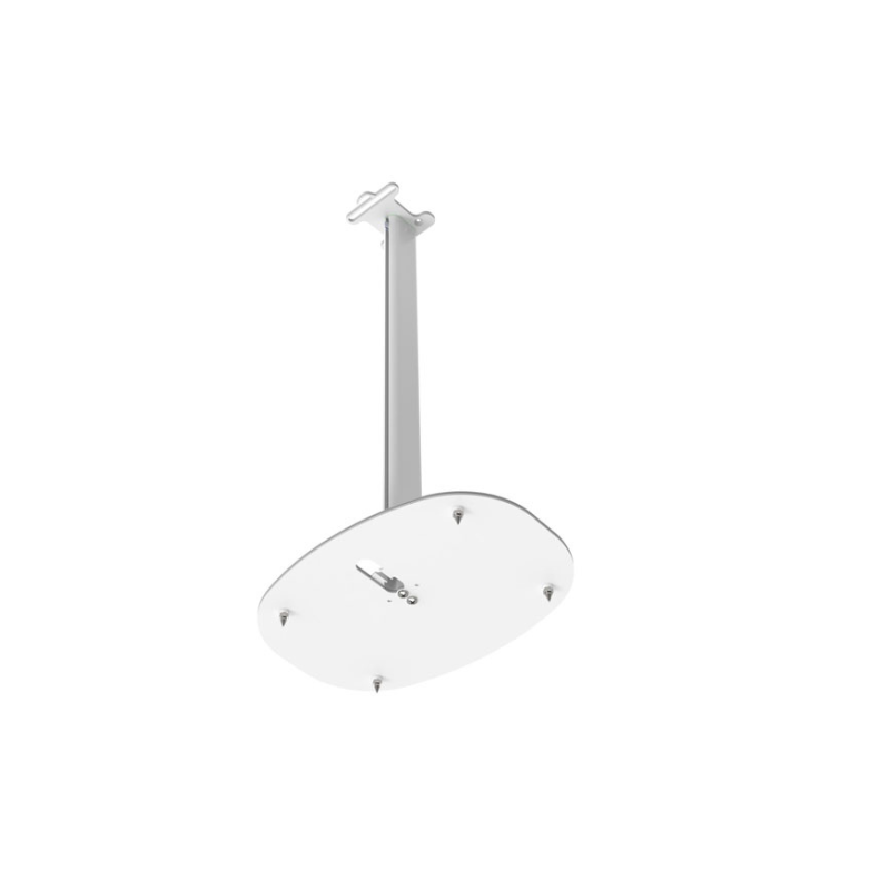 Flexson Sonos Era 300 Floor Stand (Each)