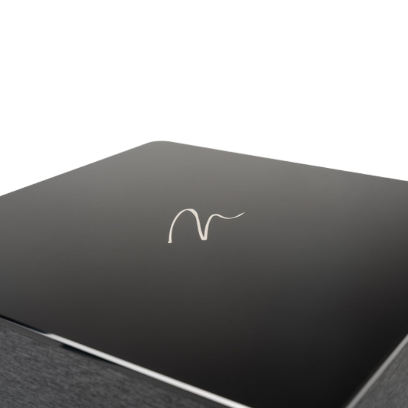 Martin Logan Dynamo Foundation 12 Subwoofer (Each)