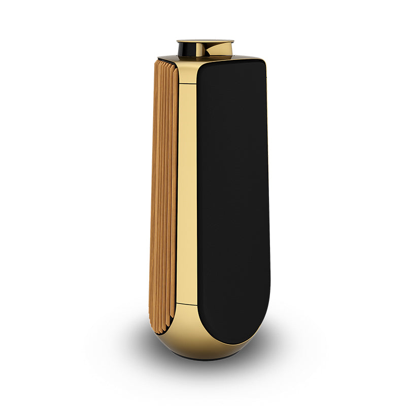 Bang & Olufsen Beolab 50 High-end Active Loudspeaker