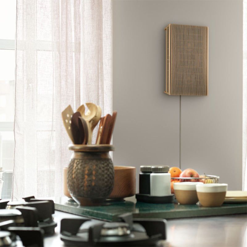 Bang & Olufsen Beosound Level Portable WiFi Speaker - Each