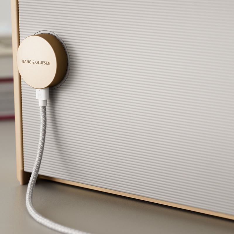 Bang & Olufsen Beosound Level Portable WiFi Speaker - Each