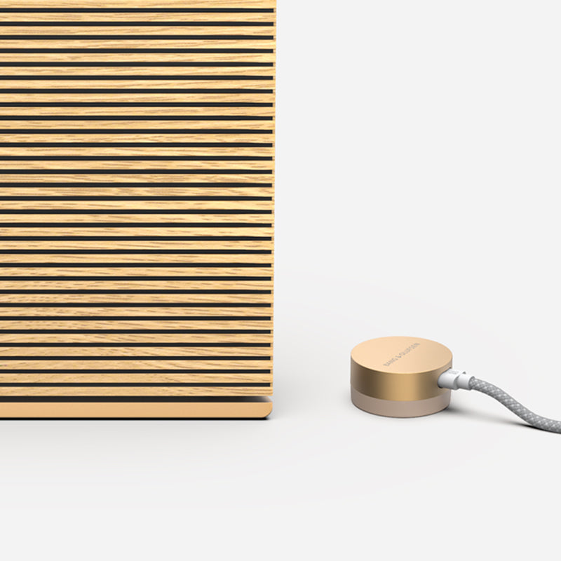 Bang & Olufsen Beosound Level Portable WiFi Speaker - Each