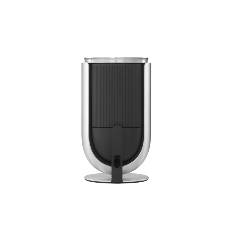 Bang & Olufsen Beolab 8 - Compact Wireless Speaker (Each)