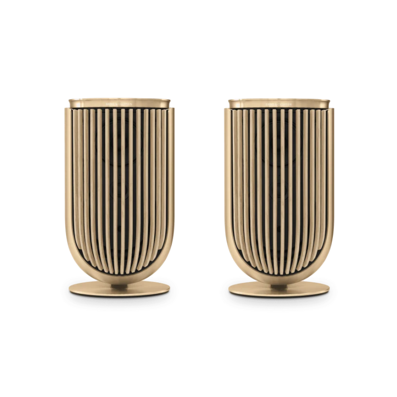Bang & Olufsen Beolab 8 - Compact Wireless Speaker (Each)