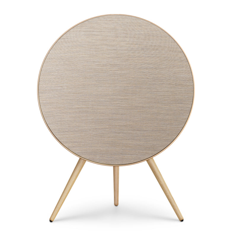 Bang & Olufsen Beosound A9 5th Gen (Each)