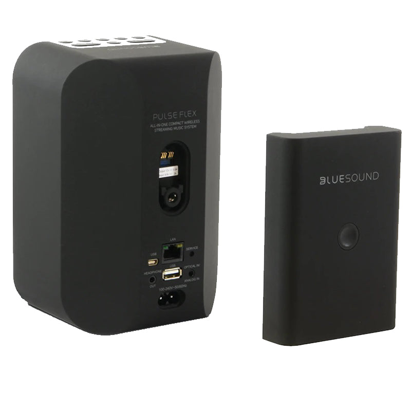 Bluesound BP100 - Pulse Flex Battery Pack