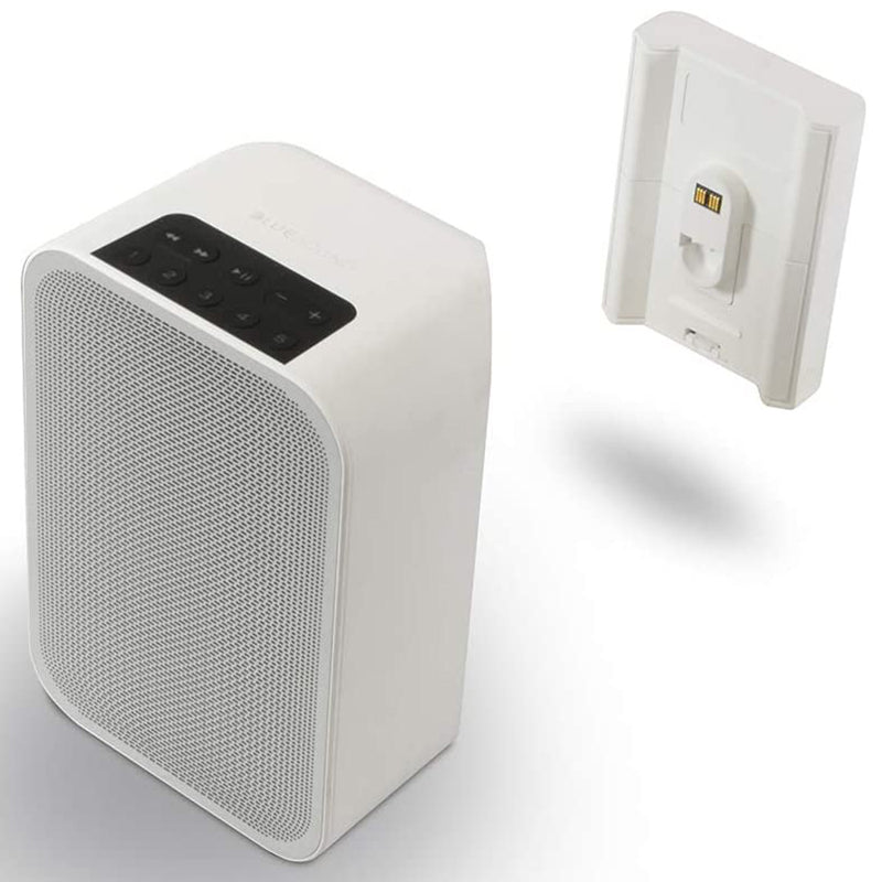 Bluesound BP100 - Pulse Flex Battery Pack