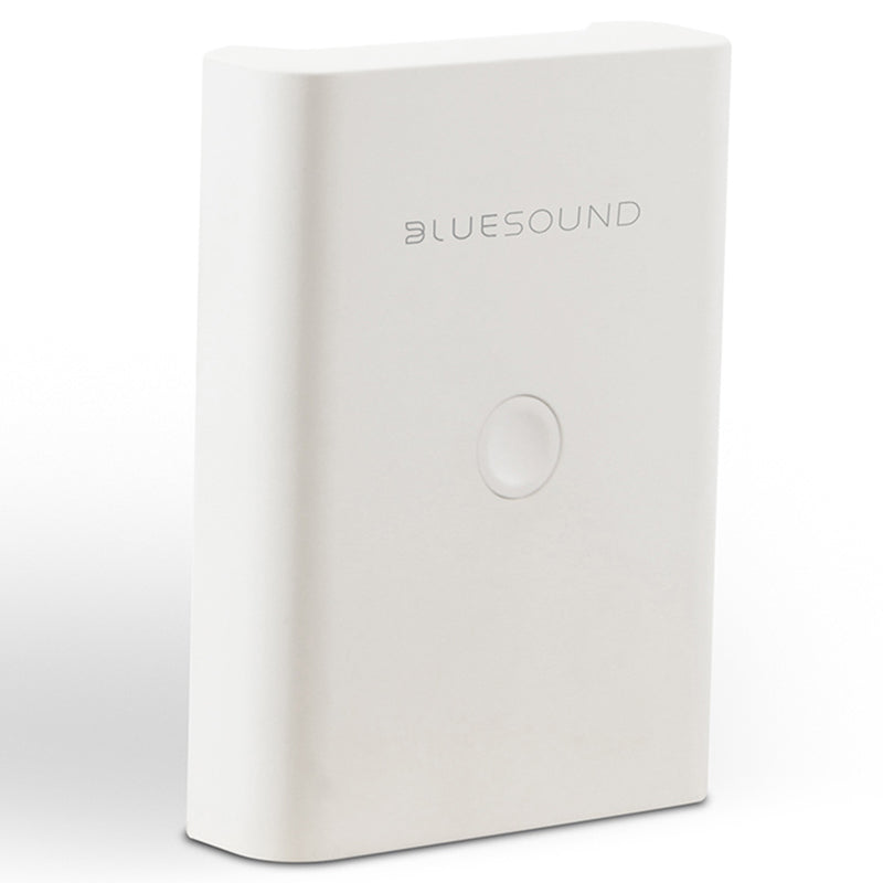 Bluesound BP100 - Pulse Flex Battery Pack