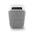 Bluesound Pulse Flex 2i Wireless Airplay 2 Speaker
