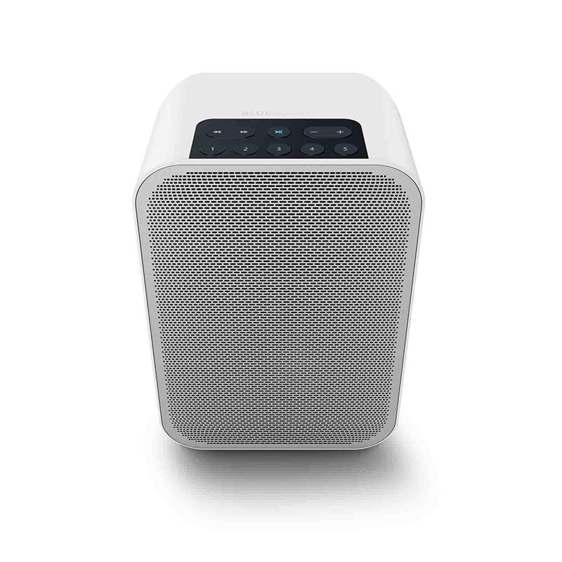 Bluesound Pulse Flex 2i Wireless Airplay 2 Speaker | Pre-Owned