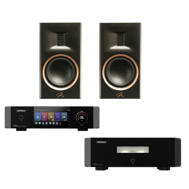 EverSolo DMP-A10,AMP-F10  & Martin Logan Motion XT B100 | Bundle