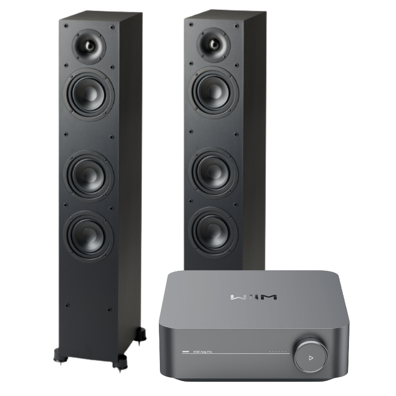 Wiim Amp Pro & Paradigm SE 3000F | Bundle