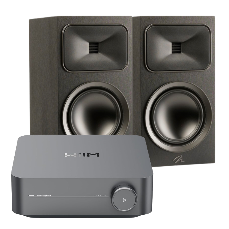 Wiim Amp Pro & Martin Logan B2 | Bundle