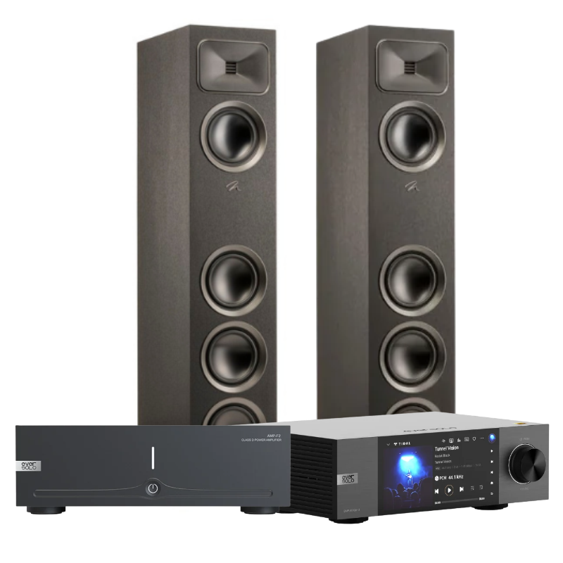 Martin Logan Foundation F1 & Evesolo Bundle