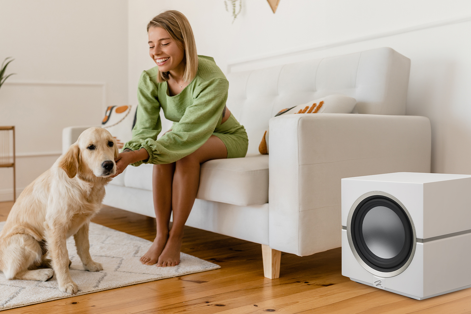 Martin Logan Dynamo 10 Subwoofer (Each)